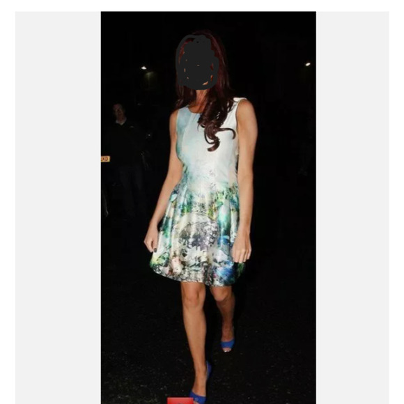 Zara‎ Basics Dress XS Aquarium Print Tulip Mini Holiday Bloggers Fav NWOT - Picture 11 of 16